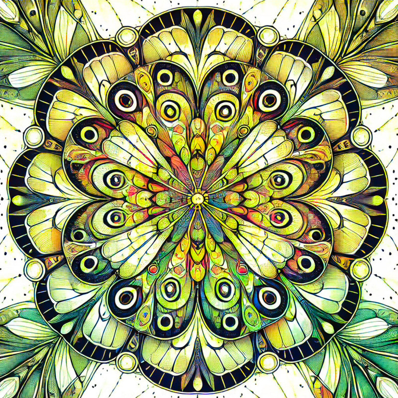 10. Butterfly Wing Kaleidoscope