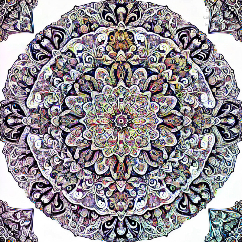 2. Floral Pattern Kaleidoscope