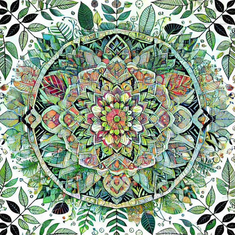 3. Botanical Geometry Mandala